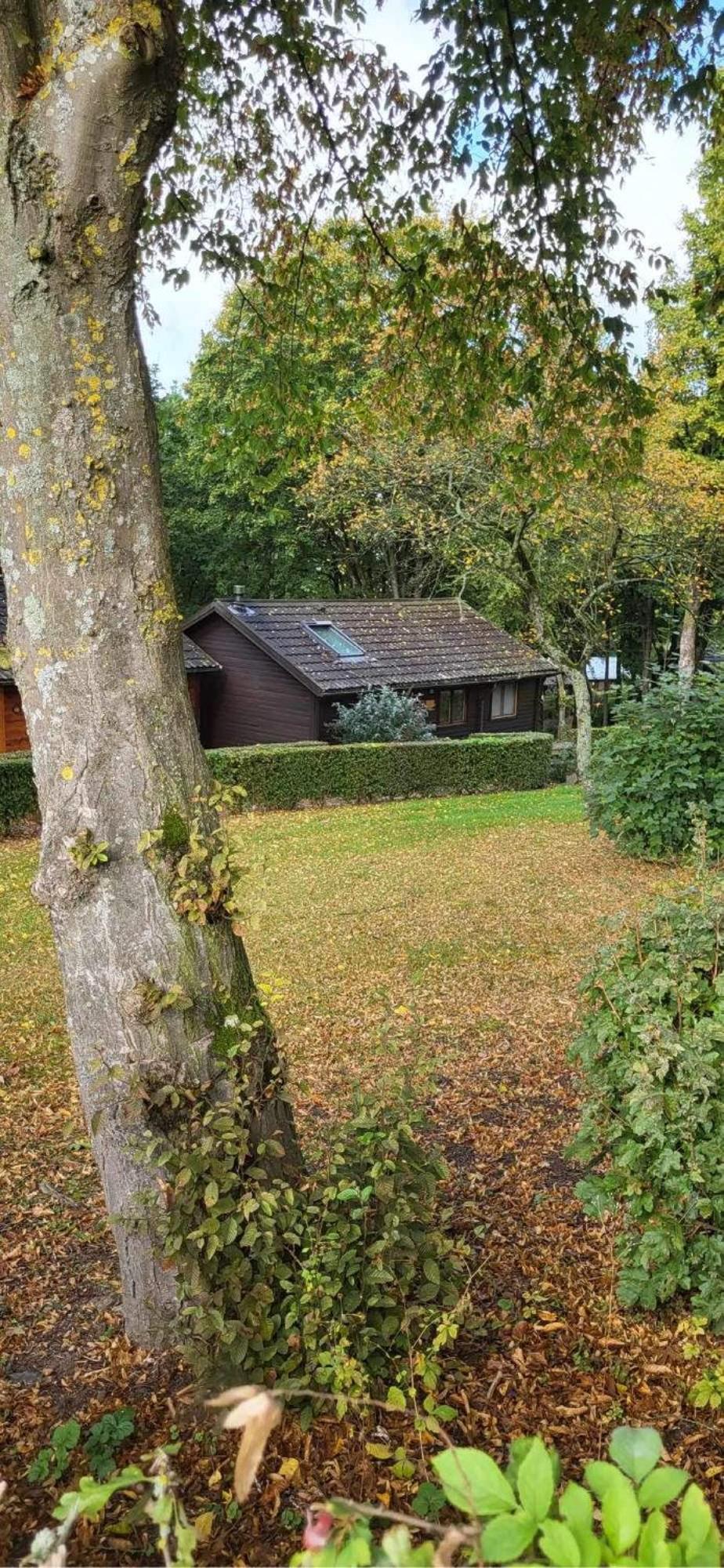 Chalet 9 La Boverie Rendeux Exterior foto